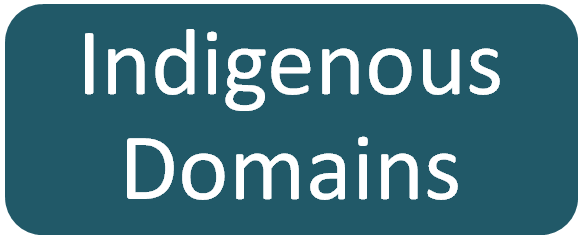 Timeline of Indigenous Domain Names