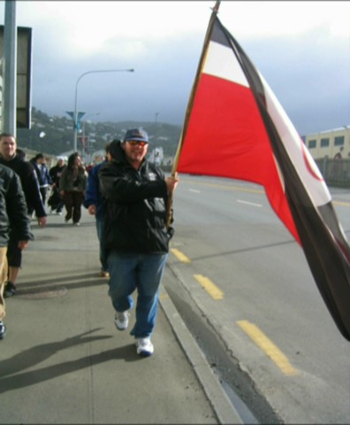 Maori activisim